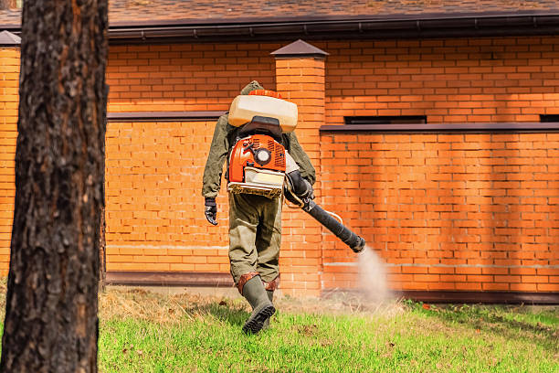 Bed Bug Clearance Verification and Documentation in Bay Harbor Islands